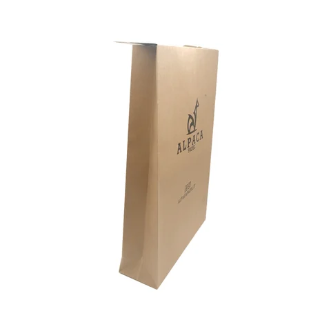 Kraft Paper Shopping Bag for Apparel
